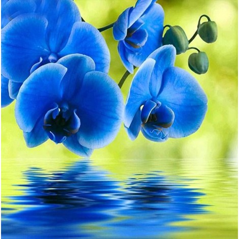 Beautiful Blue Orchids Diamond Painting
