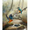 Kingfisher Pair - Diamond Painting Kit