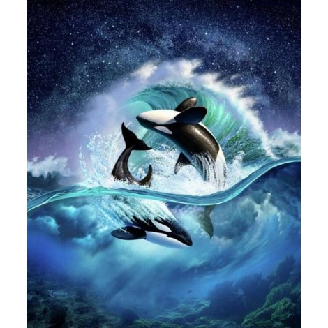Killer Whales Rolling in the Ocean