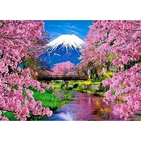 Japanese Cherry Blossoms Spring