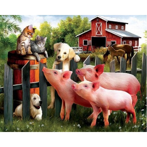 Cats, Dogs, Pigs & Horses