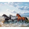 Black, Grey & Brown Horses