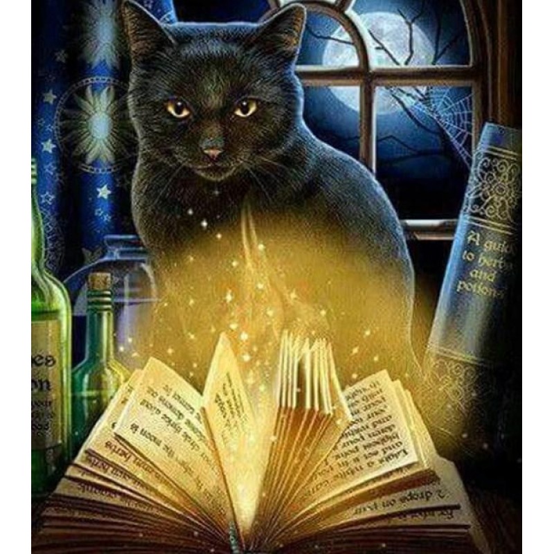 Black Cat & Magi...