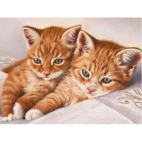 Ginger Cat Pair - Diamond Painting Kit