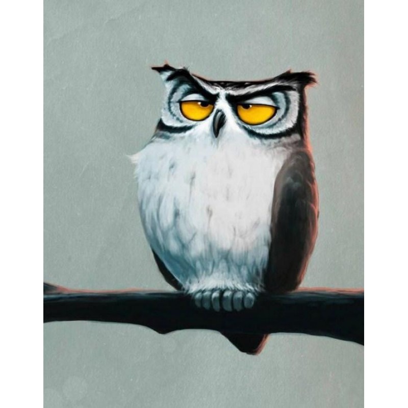 Grumpy Owl - Paint w...