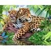 Jaguar with Baby Diamond Painting