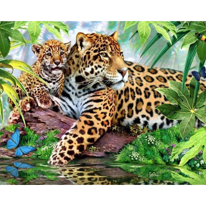 Jaguar with Baby Diamond ...