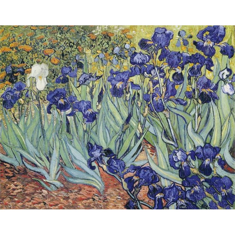 Irises DIY Diamond P...