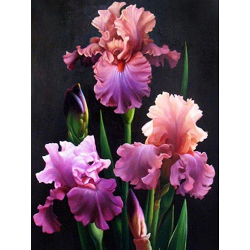 Iris Diamond Paintin...