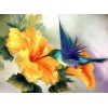 Humming Birds Drinking Flower Nectar