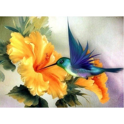 Humming Birds Drinking Flower Nectar