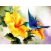 Humming Bird & Yellow Flower