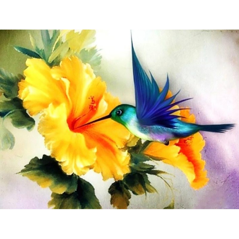 Humming Bird & Y...