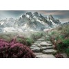 Beautiful Pathway to Mountains