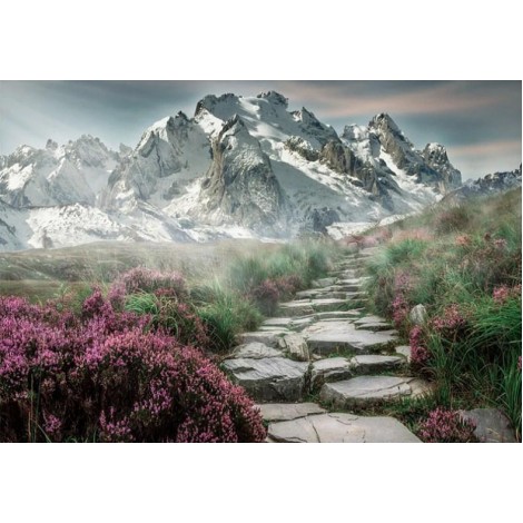 Beautiful Pathway to Mountains