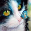 Cat with Butterfly on her Nose