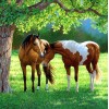 Horses Grazing by the Lake