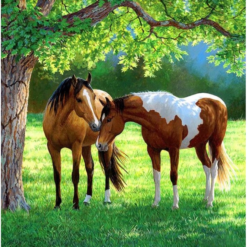 Horses Grazing by th...