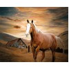 Horse DIY Painting