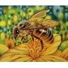 Honey Bee Close up - Diamond Painting Kit