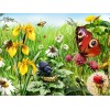 Garden with Insects - Paint with Diamonds
