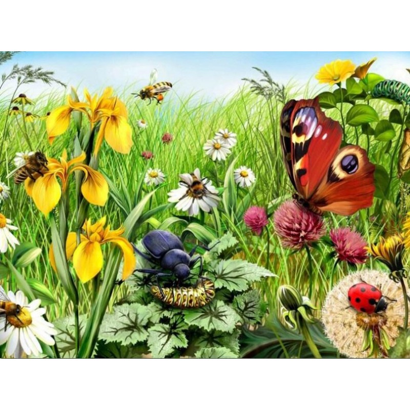 Garden with Insects ...
