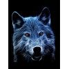 Amazing Wolf with Orange Eyes