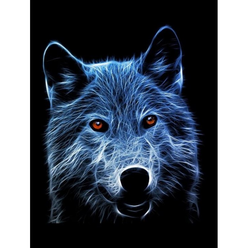 Amazing Wolf with Orange ...