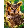 Angry Horned Owl Diamond Painting