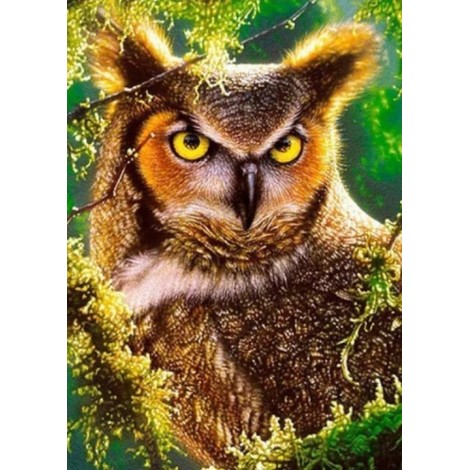 Angry Horned Owl Diamond Painting