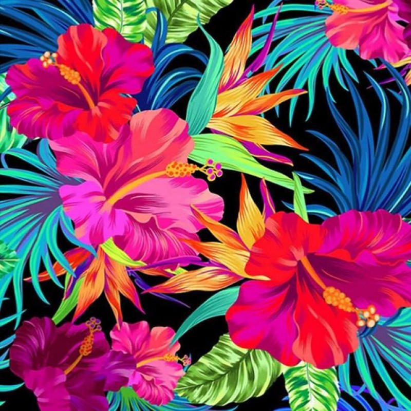 Hibiscus Flowers - D...
