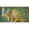 Chameleon & Butterfly Diamond Painting