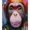 Cute Monkey with Green Eyes