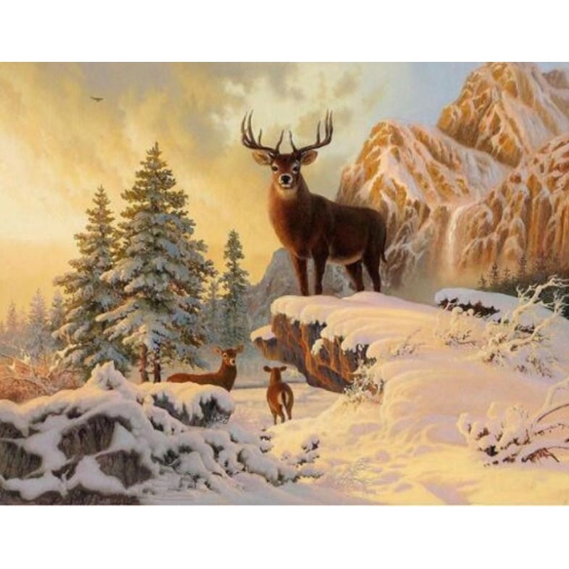 Deer on Snowy Mounta...