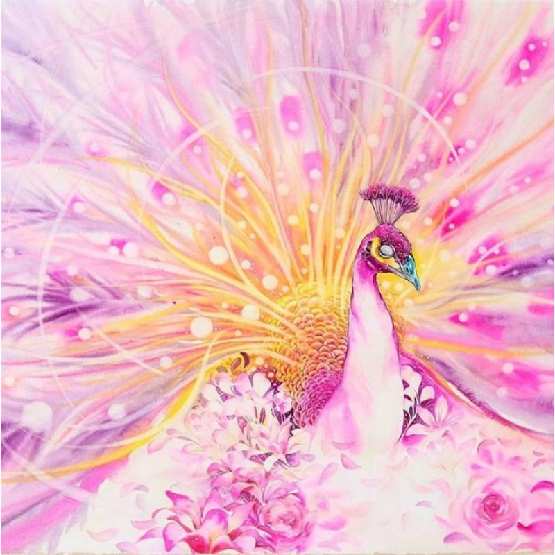 Elegant Pink Peacock...