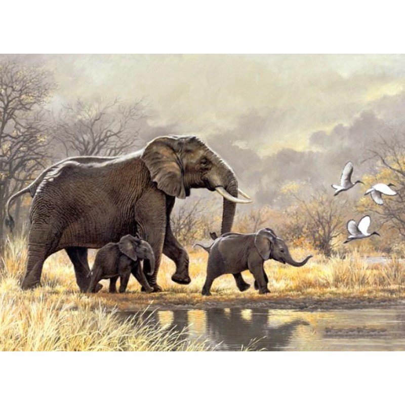 Happy Elephant Famil...