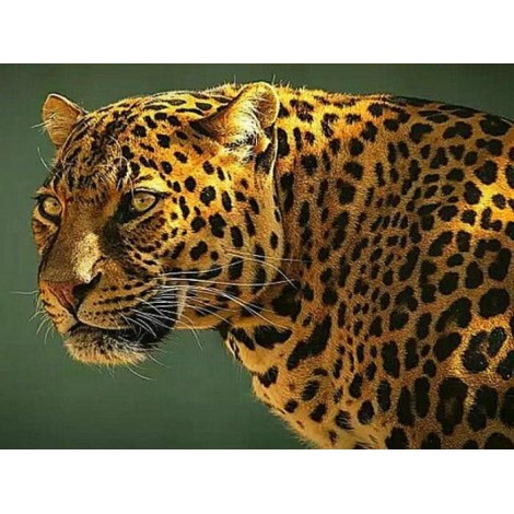 Guyana Jaguar - Paint with Diamonds