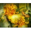 Goddess Of Summer by Carol Cavalaris