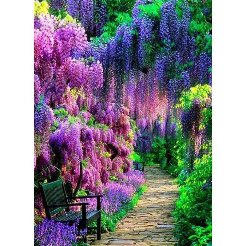 Green & Purple F...