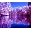 Amazing Lake View DIY Diamond Painting