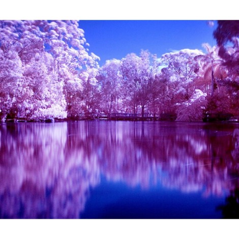 Amazing Lake View DIY Diamond Painting