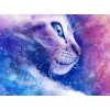 Cat Fantasy