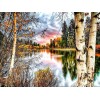 Forest Landscape Painting