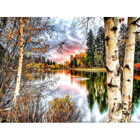 Forest Landscape Painting