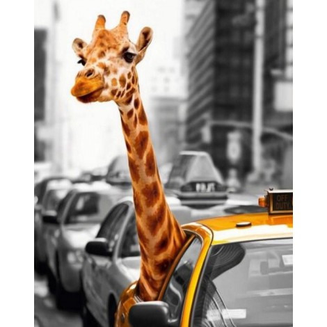 Giraffe Travelling in Taxi
