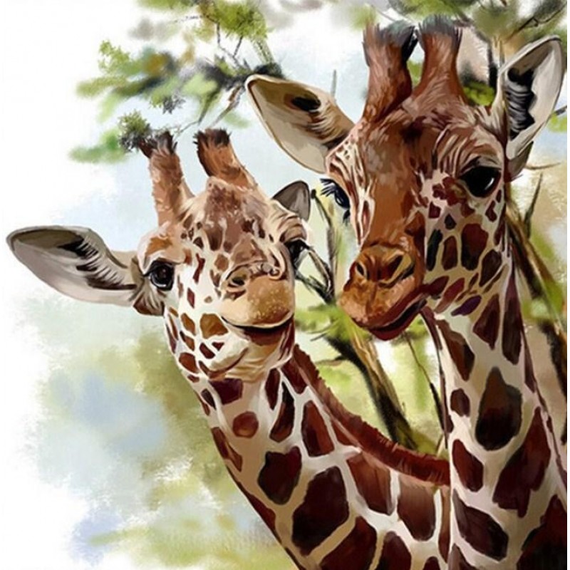 Giraffe Couple Diamo...