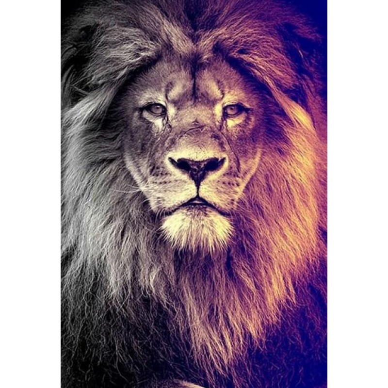 Gazing Lion - Paint ...