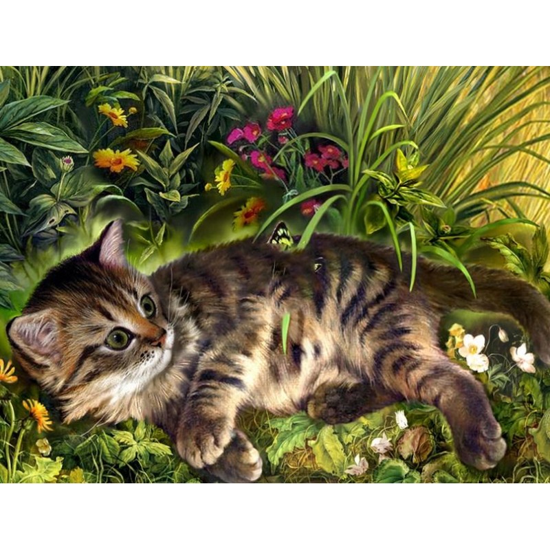 Garden Cat - Paint b...