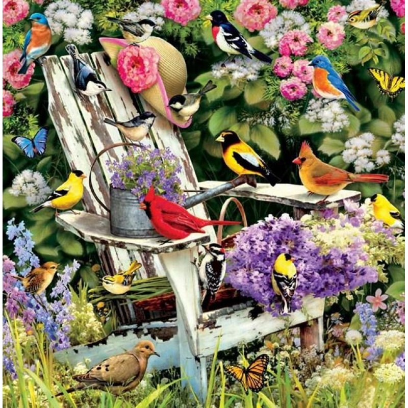 Garden Birds - Paint...