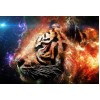 Blazing Tiger Art